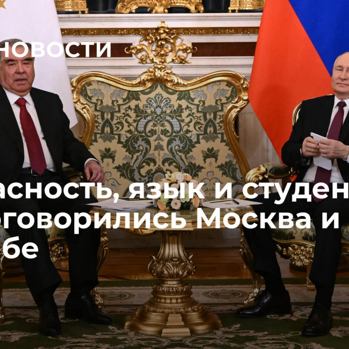 Безопасность, язык и студенты. О чем договорились Москва и Душанбе