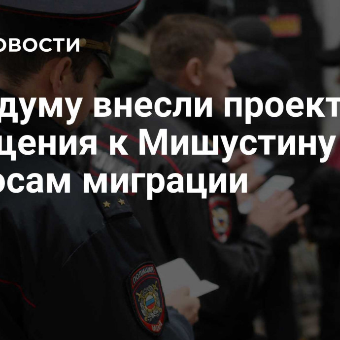 В Госдуму внесли проект обращения к Мишустину по вопросам миграции