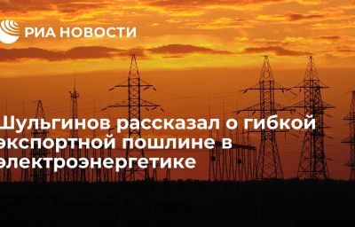 Шульгинов рассказал о гибкой экспортной пошлине в электроэнергетике