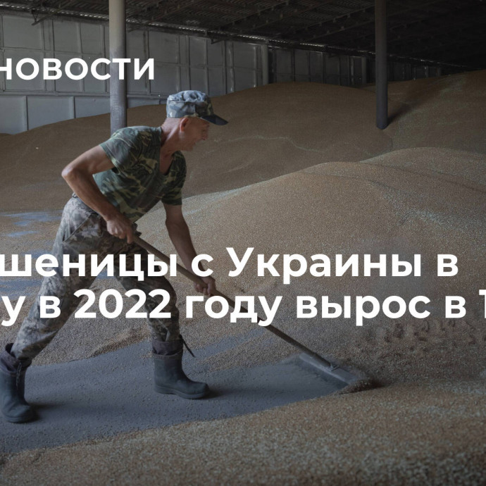 Ввоз пшеницы с Украины в Польшу в 2022 году вырос в 168 раз