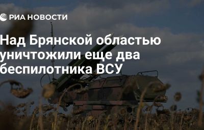 Над Брянской областью уничтожили еще два беспилотника ВСУ