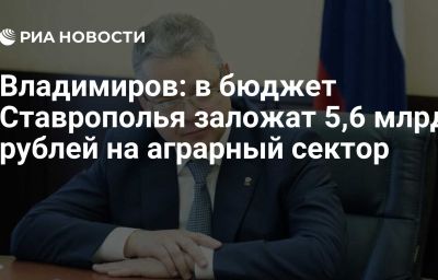 Владимиров: в бюджет Ставрополья заложат 5,6 млрд рублей на аграрный сектор