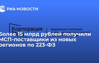 Более 15 млрд рублей получили МСП-поставщики из новых регионов по 223-ФЗ