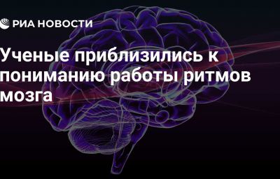 Ученые приблизились к пониманию работы ритмов мозга