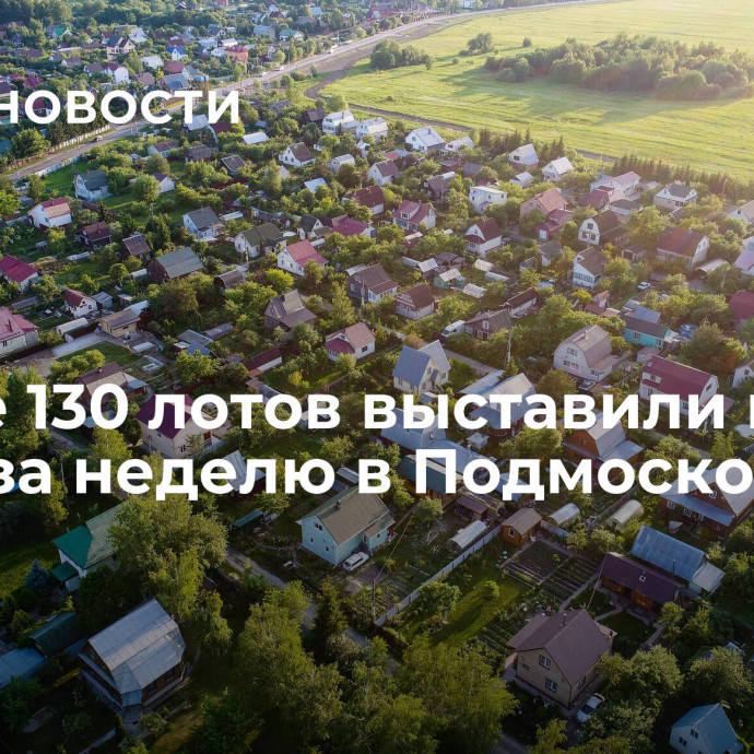 Свыше 130 лотов выставили на торги за неделю в Подмосковье