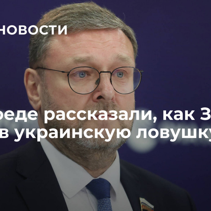 В Совфеде рассказали, как Запад попал в украинскую ловушку