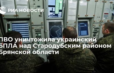 ПВО уничтожила украинский БПЛА над Стародубским районом Брянской области