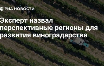 Эксперт назвал перспективные регионы для развития виноградарства