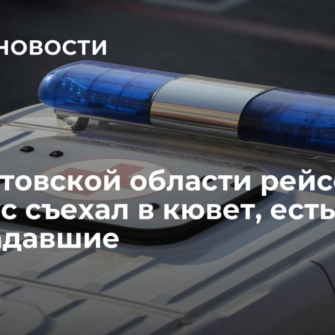 В Саратовской области рейсовый автобус съехал в кювет, есть пострадавшие