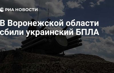 В Воронежской области сбили украинский БПЛА