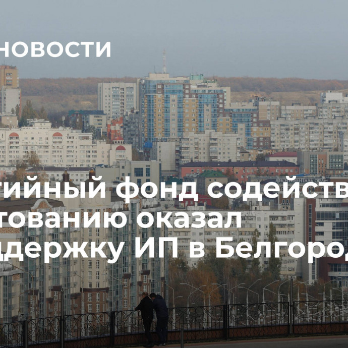 Гарантийный фонд содействия кредитованию оказал господдержку ИП в Белгороде