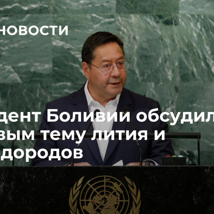 Президент Боливии обсудил с Лавровым тему лития и углеводородов