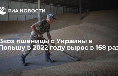 Ввоз пшеницы с Украины в Польшу в 2022 году вырос в 168 раз