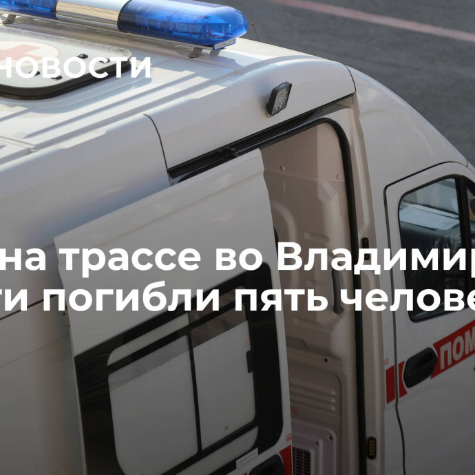 В ДТП на трассе во Владимирской области погибли пять человек