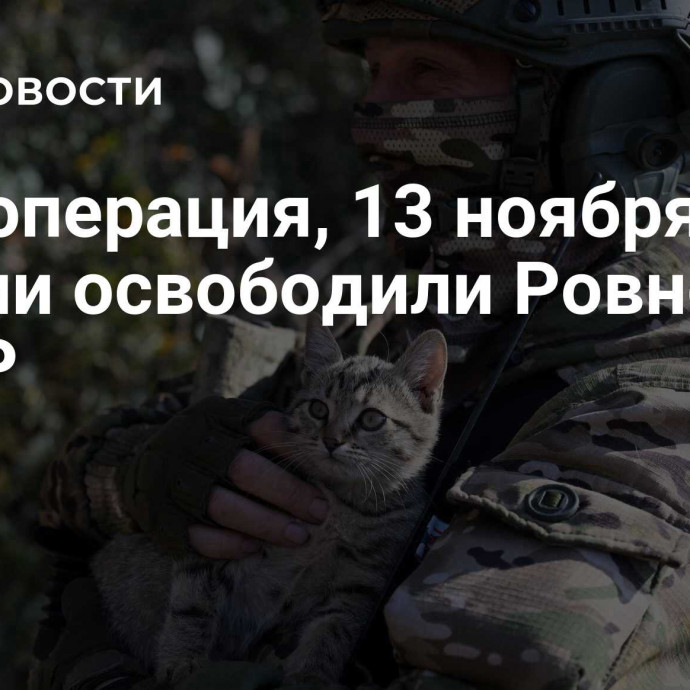 Спецоперация, 13 ноября: ВС России освободили Ровнополь в ДНР