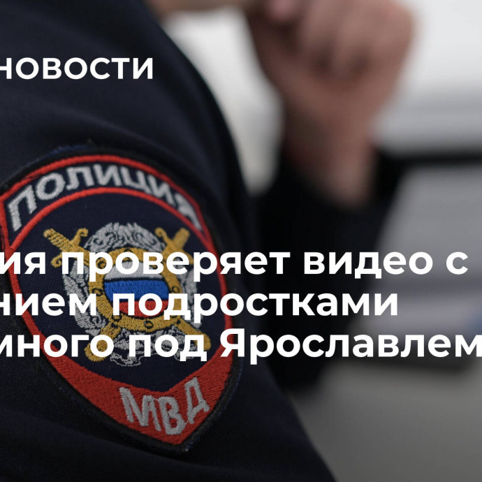 Полиция проверяет видео с избиением подростками бездомного под Ярославлем