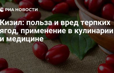 Кизил: польза и вред терпких ягод, применение в кулинарии и медицине