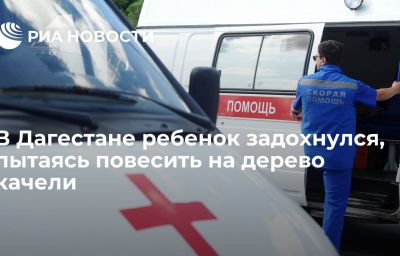 В Дагестане ребенок задохнулся, пытаясь повесить на дерево качели