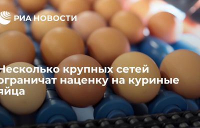 Несколько крупных сетей ограничат наценку на куриные яйца