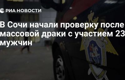 В Сочи начали проверку после массовой драки с участием 23 мужчин