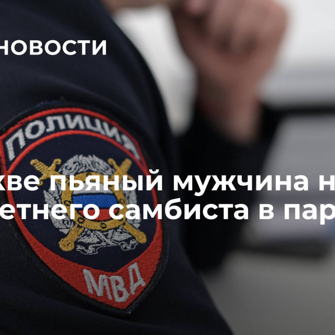 В Москве пьяный мужчина напал на 15-летнего самбиста в парке