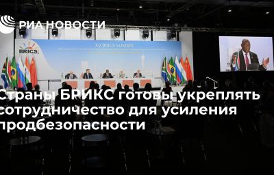 Страны БРИКС готовы укреплять сотрудничество для усиления продбезопасности