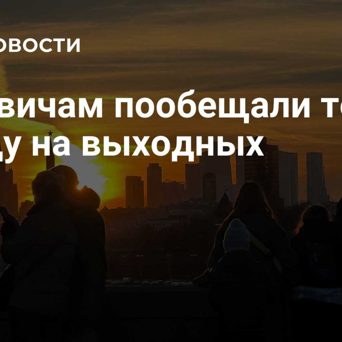 Москвичам пообещали теплую погоду на выходных