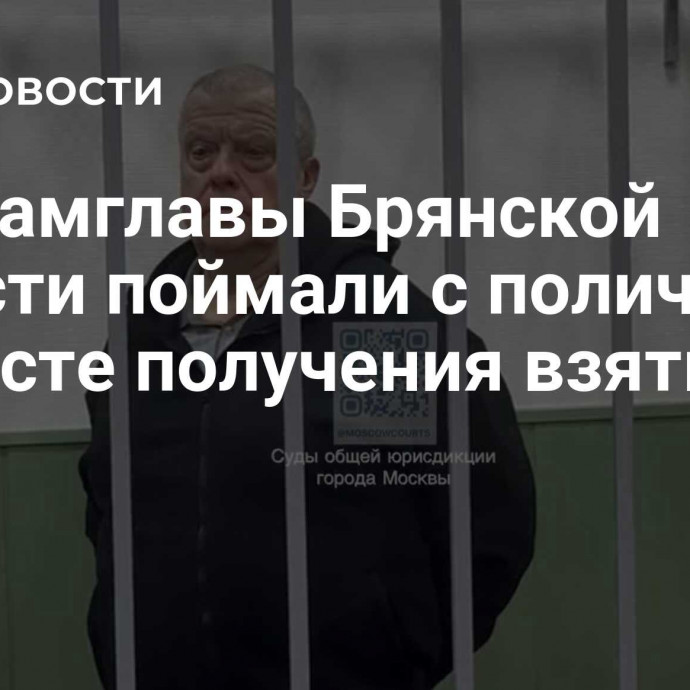 Экс-замглавы Брянской области поймали с поличным на месте получения взятки