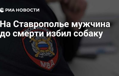 На Ставрополье мужчина до смерти избил собаку