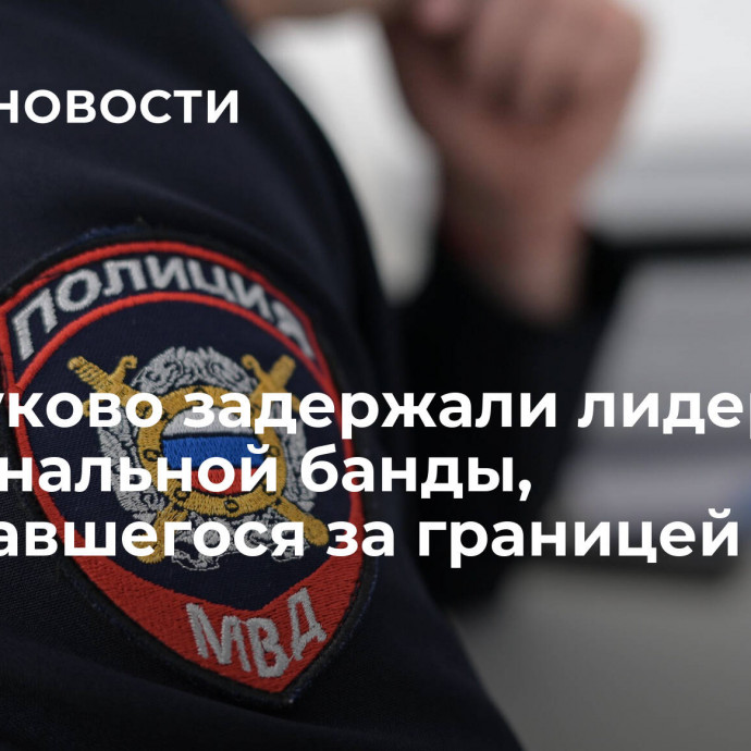 Во Внуково задержали лидера криминальной банды, скрывавшегося за границей