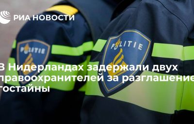 В Нидерландах задержали двух правоохранителей за разглашение гостайны