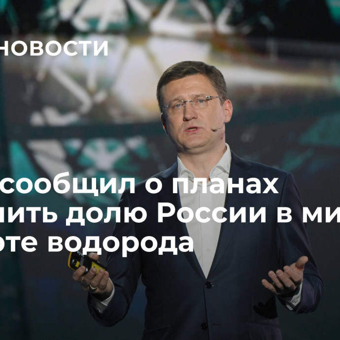 Новак сообщил о планах увеличить долю России в мировом экспорте водорода