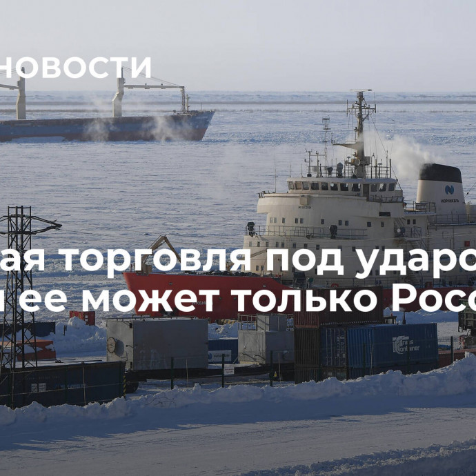 Мировая торговля под ударом. Спасти ее может только Россия