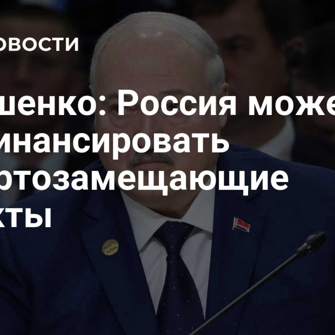 Лукашенко: Россия может профинансировать импортозамещающие проекты