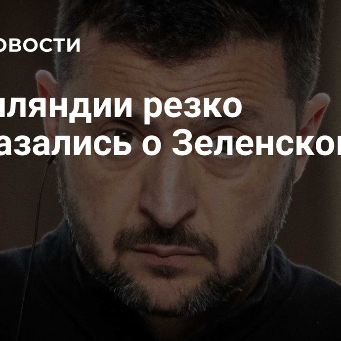 В Финляндии резко высказались о Зеленском