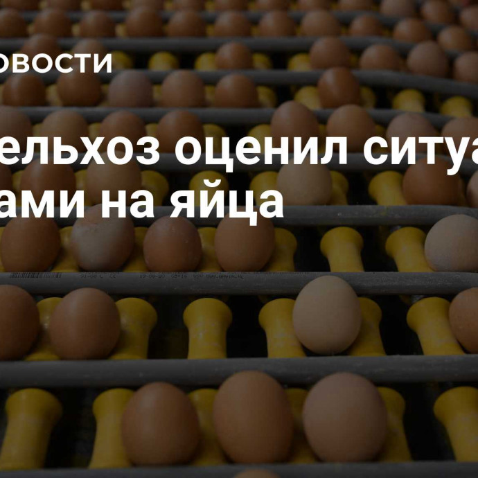 Минсельхоз оценил ситуацию с ценами на яйца