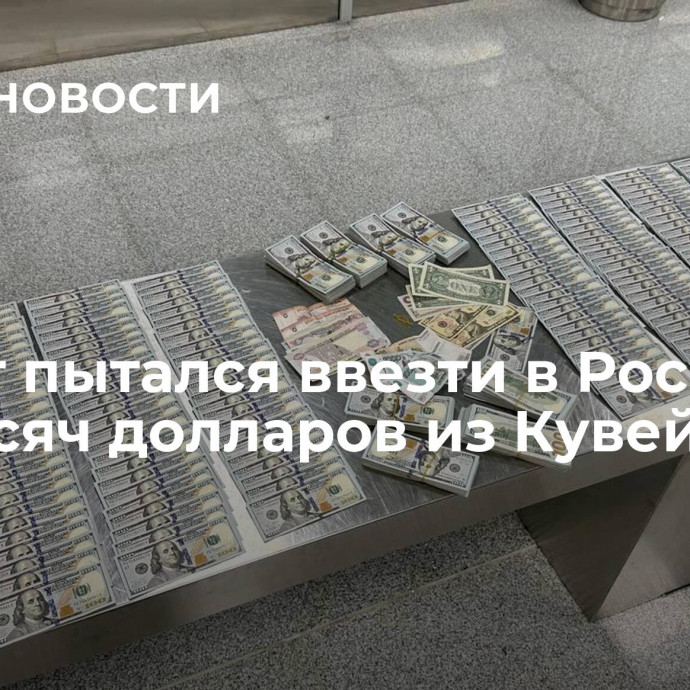 Турист пытался ввезти в Россию сто тысяч долларов из Кувейта