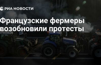 Французские фермеры возобновили протесты