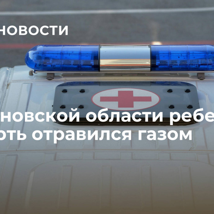 В Ульяновской области ребенок насмерть отравился газом