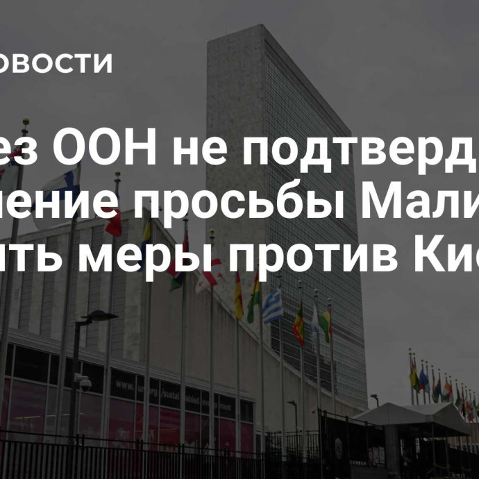 Совбез ООН не подтвердил получение просьбы Мали принять меры против Киева