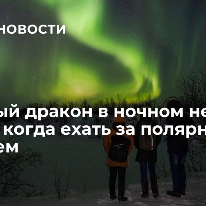 Зеленый дракон в ночном небе: куда и когда ехать за полярным сиянием