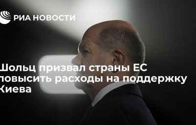 Шольц призвал страны ЕС повысить расходы на поддержку Киева