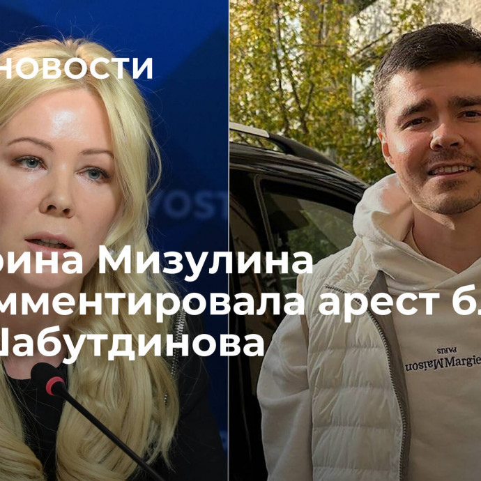 Екатерина Мизулина прокомментировала арест блогера Аяза Шабутдинова