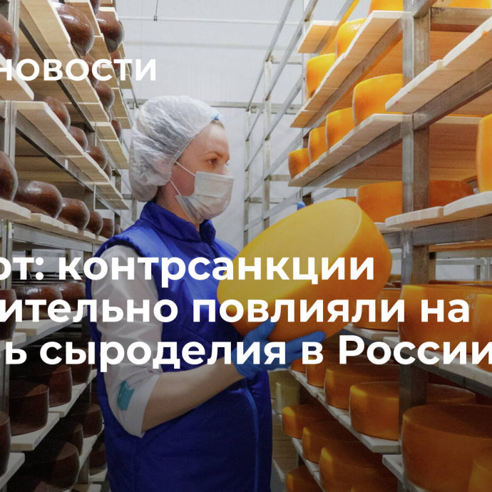 Эксперт: контрсанкции положительно повлияли на отрасль сыроделия в России