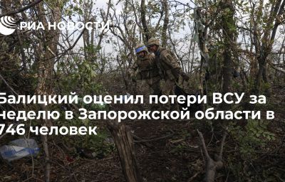 Балицкий оценил потери ВСУ за неделю в Запорожской области в 746 человек