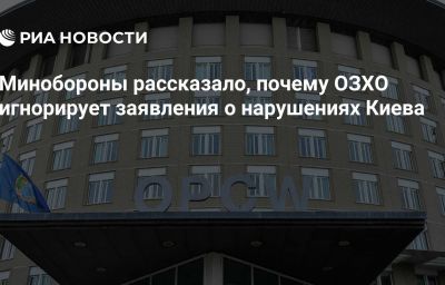 Минобороны рассказало, почему ОЗХО игнорирует заявления о нарушениях Киева