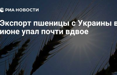 Экспорт пшеницы с Украины в июне упал почти вдвое