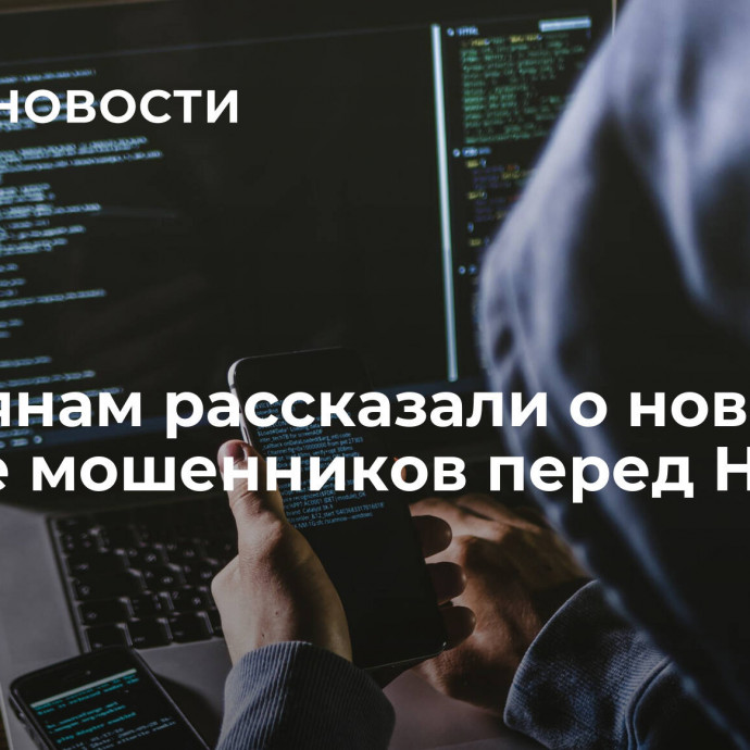 Россиянам рассказали о новой уловке мошенников перед Новым годом