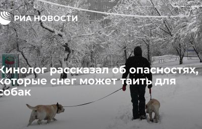 Кинолог рассказал об опасностях, которые снег может таить для собак