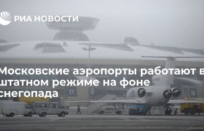 Московские аэропорты работают в штатном режиме на фоне снегопада